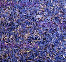 Сухоцвіт квіток Волошки-5 грам