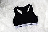 Набір жіночої білизни Calvin Klein 3 в 1 (топік + стрінги + шортики) | Чорний, фото 6
