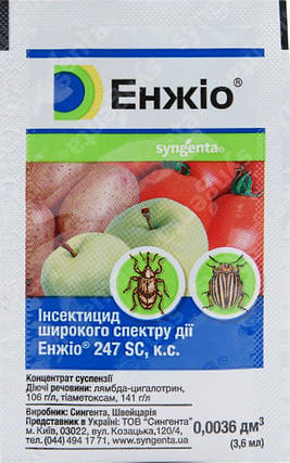 Інсектицид Енжіо 3,6 мл, Syngenta, фото 2