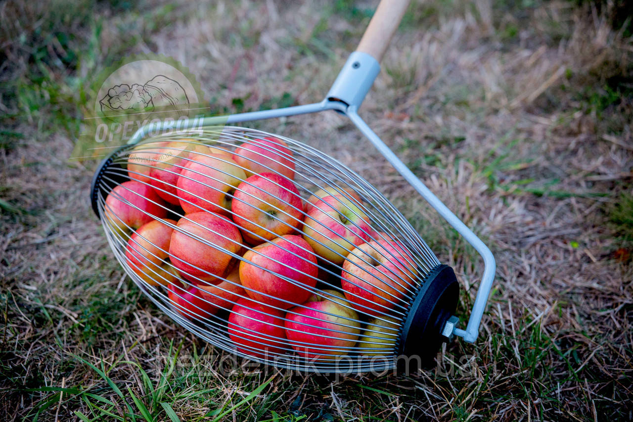 Рол для збирання яблук, плодозбірник