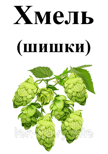 Купить 25 грамм. Хмель обыкновенный (шишки), цена 25 ₴ — Prom.ua (ID ...