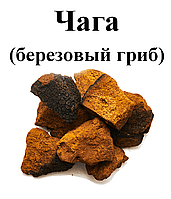 Чага (черный березовый гриб), гриб сухой, 100 грамм.