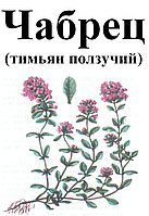 Чебрець (тим'ян плазкий), трава сухая, 30 грам.