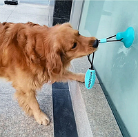 Игрушка для домашних животных Molar Ball шар для укусов и тренировок собак кормилка