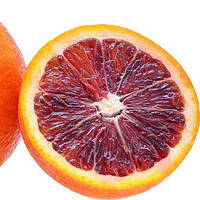 Апельсин кровавый "Сангвинелли" (C. sinensis "Sanguinelli") до 20 см. Комнатный