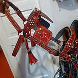 Кантарка вудка, фото 3