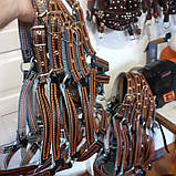 Невузлик для коня full, фото 2