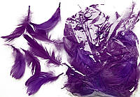 Перья фиолетовые для декорирования (120 шт, 5-10 см)