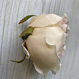 Головка півонії, піоноподібної троянди 8 см. персиковий, фото 2