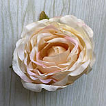 Головка півонії, піоноподібної троянди 8 см. персиковий, фото 3