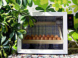 Інкубатор Господар - 80 яєць, з автоматичним переворотом і автоматичним підтриманням вологості на 80 яєць, фото 3