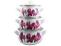 Набор эмалированной посуды Interos Тюльпаны 3 предмета (84314)