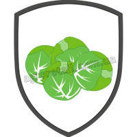 Капуста брюссельська