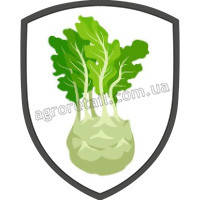 Капуста кольрабі