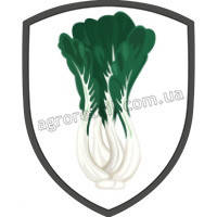 Капуста китайська