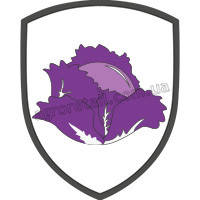 Капуста червоноголова