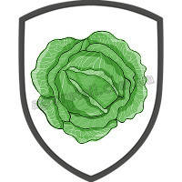 Капуста савойська