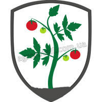 Високорослі томати