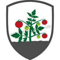 Томати низькорослі