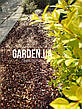 Кора соснова GARDEN, 40л, Фр.2 (1-2см) ОПТ. Мокра. Тільки самовивіз., фото 7