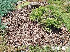 Кора соснова GARDEN, 50л, Фр.2.5 (1-4см), фото 6