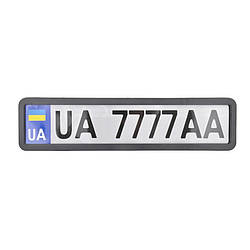 Рамка номерного знака для авто из нержавеющей стали CarLife универсальная рамка номера матовая (NH420)