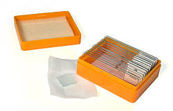 Набір мікропрепаратів Levenhuk N10 NG