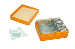 Набір мікропрепаратів Levenhuk N20 NG