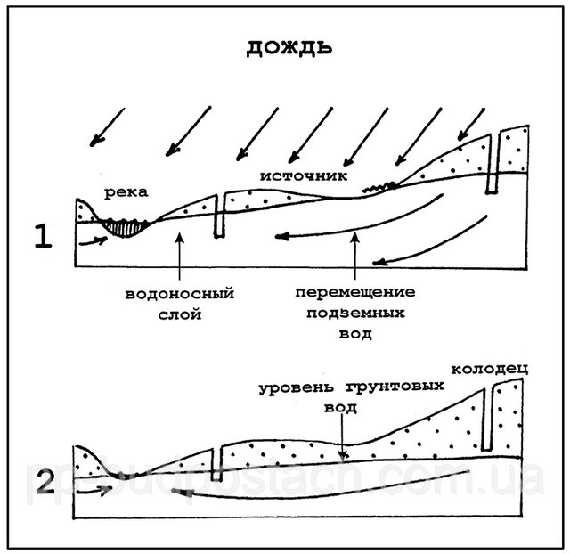 Про ґрунтових водах та їх вплив