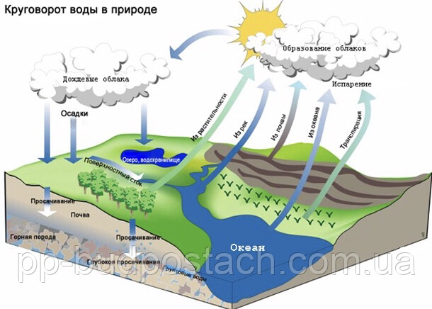 Як побудувати лазню?