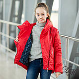 Куртка для дівчинки «Елі» оригінальна модель, фото 5
