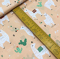 ΠΠΎΠ»ΡΡΡΠΊΠ° Π±ΡΠ·Ρ "Π»Π°ΠΌΠΈ Π½Π° ΠΏΡΠ΄ΡΠΎΠ²ΠΎΠΌΡ", ΡΠΎΡΠΎ 2