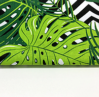 ΠΠΎΠ»ΡΡΡΠΊΠ° Π±ΡΠ·Ρ "Π²Π΅Π»ΠΈΠΊΡ Π»ΠΈΡΡΡ ΠΏΠ°Π»ΡΠΌΠΈ Ρ ΡΠΎΡΠ½Ρ ΡΠΎΠΌΠ±ΠΈ", ΡΠΎΡΠΎ 2