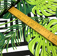 ΠΠΎΠ»ΡΡΡΠΊΠ° Π±ΡΠ·Ρ "Π²Π΅Π»ΠΈΠΊΡ Π»ΠΈΡΡΡ ΠΏΠ°Π»ΡΠΌΠΈ Ρ ΡΠΎΡΠ½Ρ ΡΠΎΠΌΠ±ΠΈ", ΡΠΎΡΠΎ 3