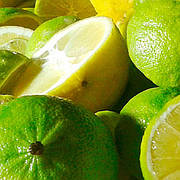 Бергамот "Кастаньяро" (C. bergamia "Castagnaro")