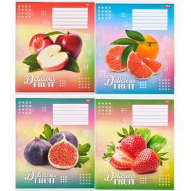 Зошит Мрія 36л. лінія