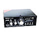 Підсилювач звуку WVNGR 699D, фото 3