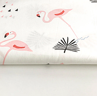 Π‘Π°ΡΠΈΠ½ "ΡΠΎΠΆΠ΅Π²Ρ ΡΠ»Π°ΠΌΡΠ½Π³ΠΎ Π½Π° Π±ΡΠ»ΠΎΠΌΡ" 160, ΡΠΎΡΠΎ 2