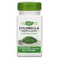 Nature's Way, Chlorella, Micro-Algae, 1,230 mg, 100 Vegan Capsules Київ