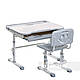 Дитяча парта зі стільцем FunDesk Bellissima Grey, фото 3