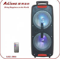 Акустическая система Ailiang Lige-2803 аккумуляторная стерео по Bluetooth 60 Вт с поддержкой AUX-вход, USB