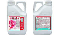 Протруйник Антал 5 л - Ефективний Захист Насіння Зернових від Сажкових, Грибкових Хвороб і Плісняви