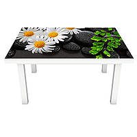 Вінілова наклейка на стіл Ромашки і чорні Камені (інтер'єрна ПВХ плівка для меблів) квіти на чорному тлі