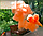 Кольоровий дим для фотосесії Помаранчевий дим Maxsem MA0513 Orange smoking fountain 60 сек, фото 6