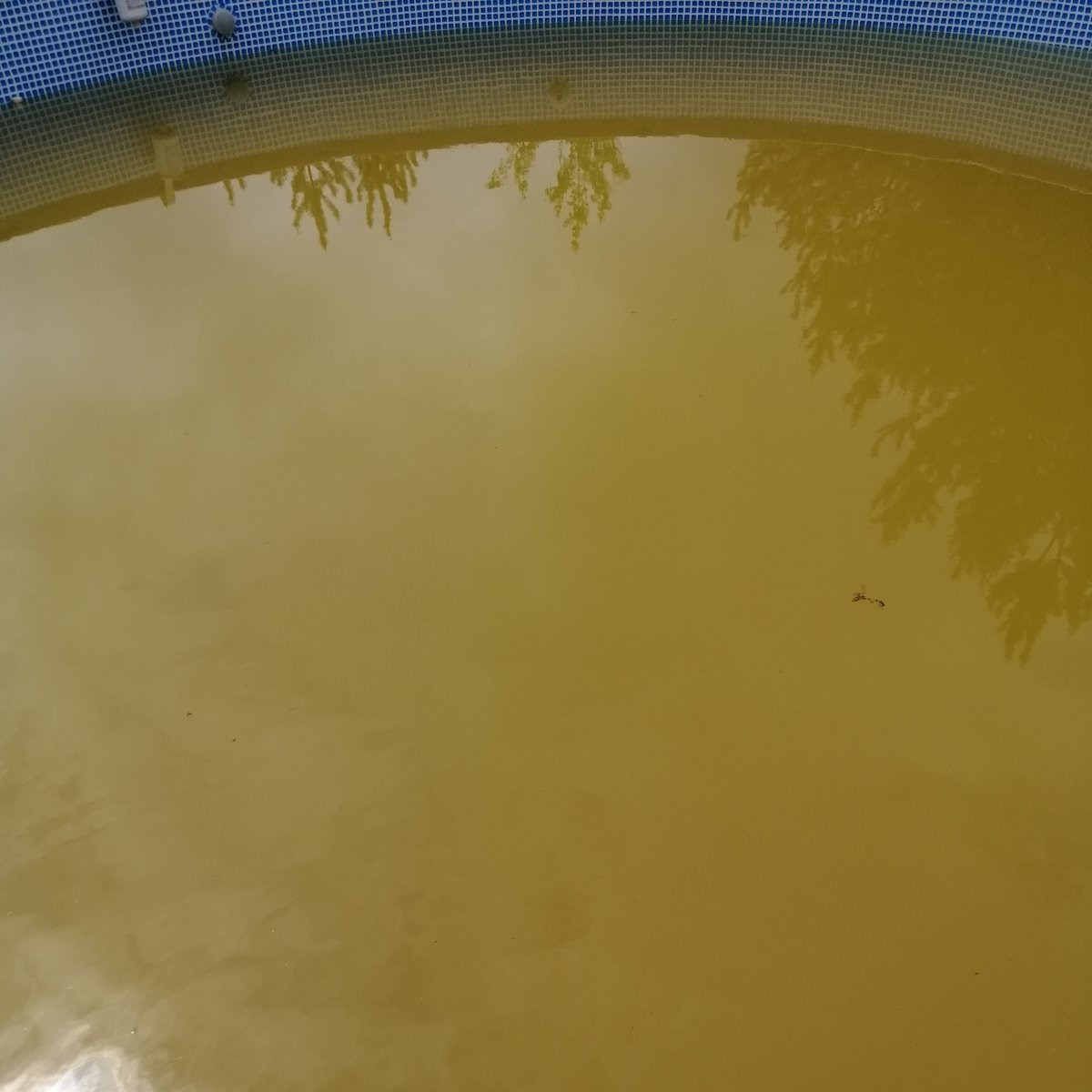 После хлорирования вода потемнела