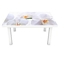 Виниловая наклейка на стол Нежные белые Орхидеи (интерьерная ПВХ пленка для мебели) цветы на белом фоне