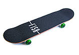 Скейт дерев'яний FISH "Листочок", навантаження до 90 кг. Польща!, фото 4