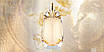 Елітні жіночі французькі парфуми Thierry Mugler Alien Eau Extraordinaire 1,2ml, зелений квітковий аромат, фото 6