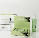 Ампули для лікування жирного волосся Erayba Zen Active Balance Z18b Balancing Lotion 12 шт.*8 мл, фото 2