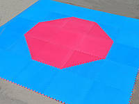 Корт (додянг) восьмиугольный для тхэквондо ВТФ синий/красный (Татами Eva-Line 100*100*2.6 см 144 шт)